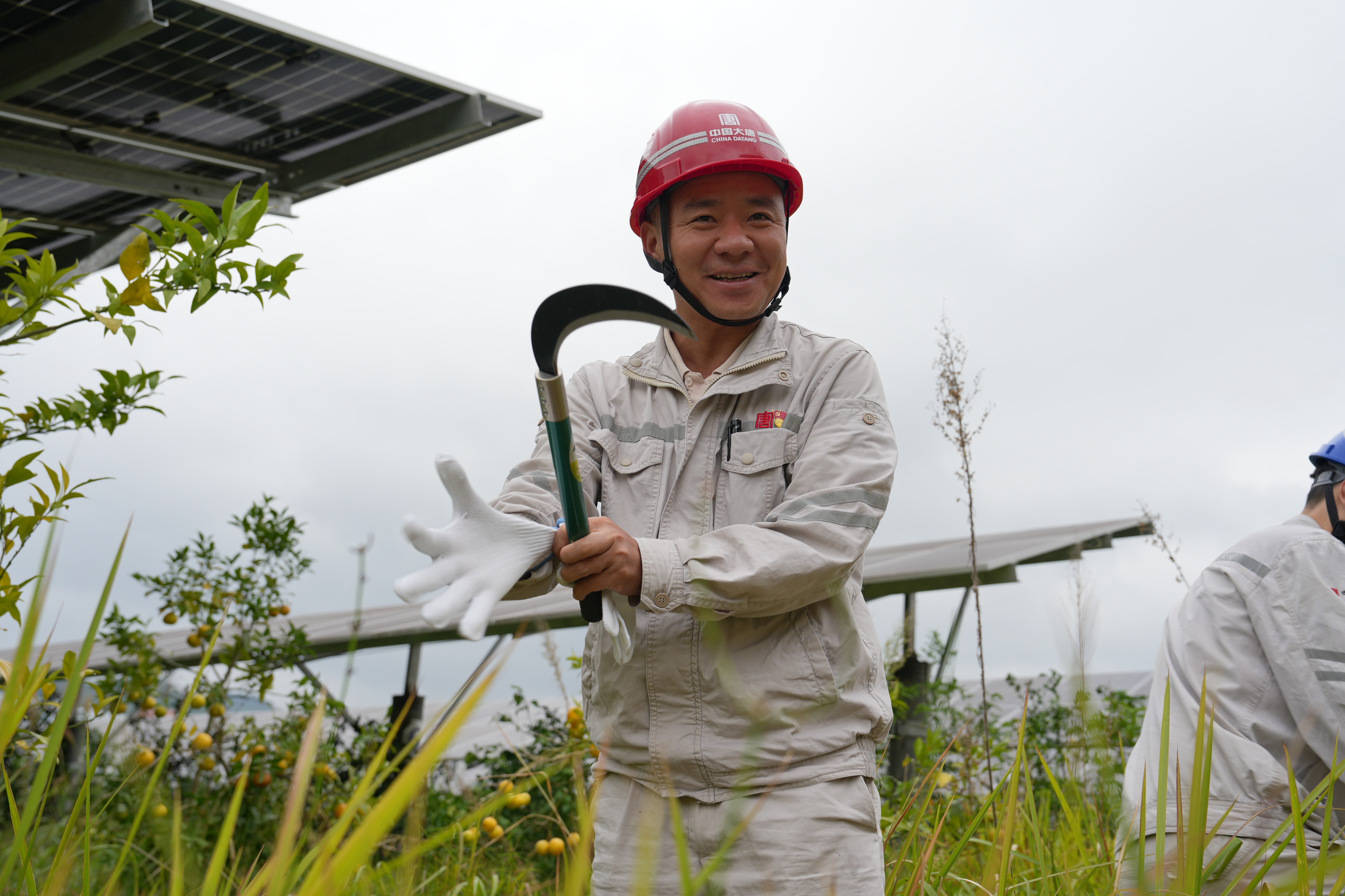 1729229839177058155.jpg 2024年10月12日,亭子口公司开展“百日攻坚 农光一体化 我们在行动”除草活动 (3).jpg